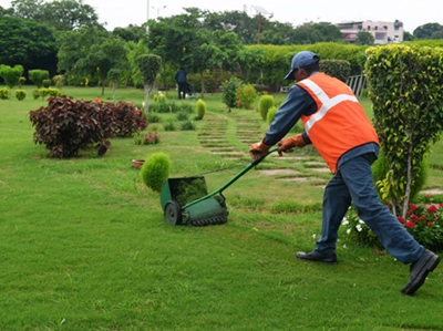 Garden Maintenance
